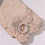 Sofia ring crafted in gold designed by Isabel Delgado